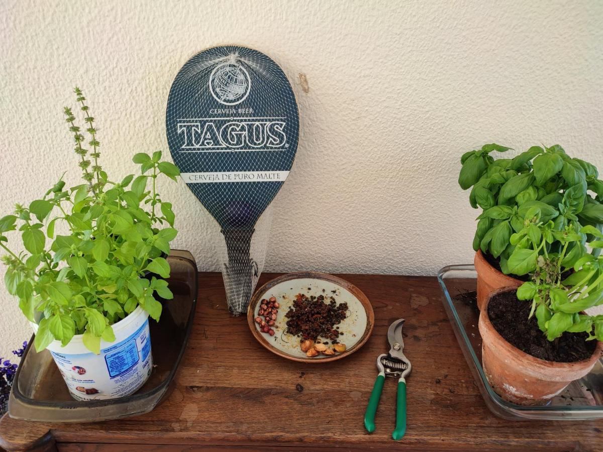 Guesthouse Monte Francisco Baanswy - 3 Quartos - Piscina Privada カストロ・マリン エクステリア 写真